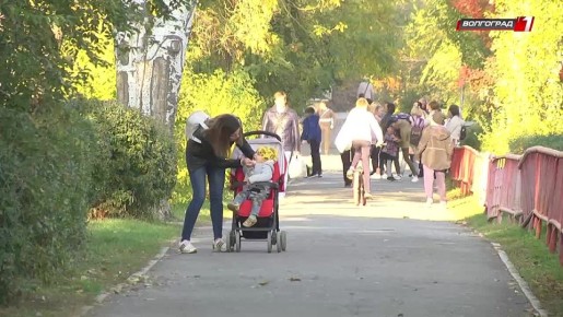 Волгоградцы могут начать получать платежки за ЖКУ только в электронном виде