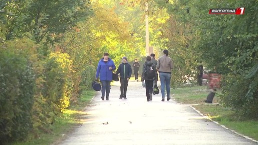 В 2025 году волгоградцы оформили 294 тысячи электронных листков нетрудоспособности