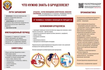 Как не заболеть бруцеллезом: памятка