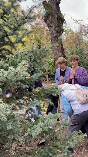 Сохраняя наследие. Сегодня в историческом сердце Волжского прошла торжественная высадка новых деревьев — трех молодых елей Деревья расположились на месте старых елей, пришедших в негодность