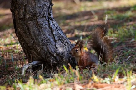 Особый противопожарный режим отменили в Волгоградской области 22 октября